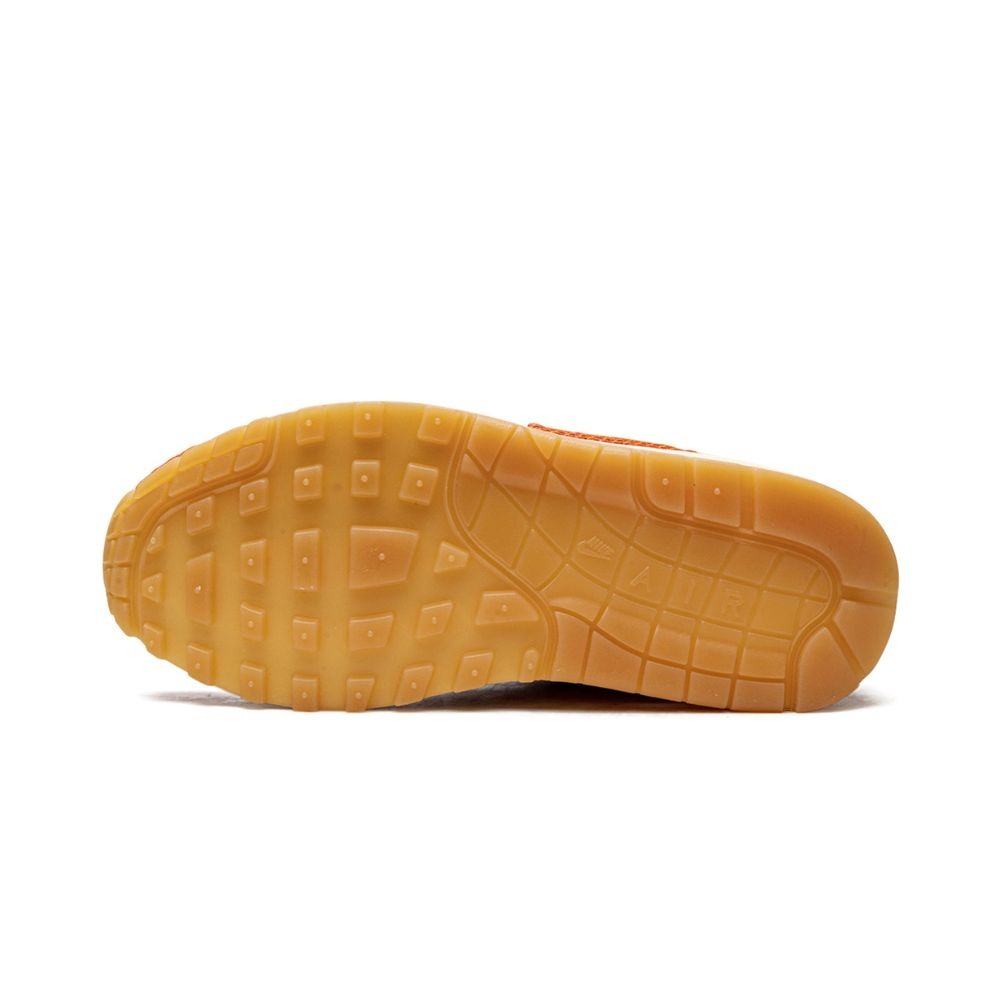 Nike Air Max 1 PRM Somos Familia (W)