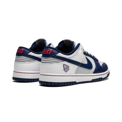 Nike Dunk Low Nets (GS)
