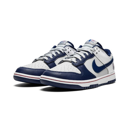 Nike Dunk Low Nets (GS)
